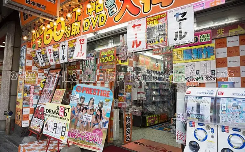 杏宇平台登录测速